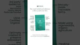 Organic, Mold-Free Purity Coffee