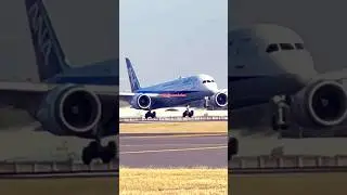 Boeing 787 Dreamliner |ANA airlines |#viral #aviation #shorts #reels #airport #crewlife #jetflix