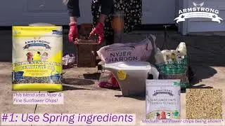 Spring bird food: Sunflower chips