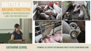 Tierwohl als Aspekt der Nachhaltigkeit in der Schweinehaltung