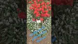 poldertuin