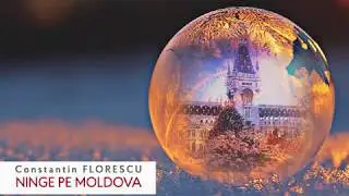 Ninge pe Moldova - Constantin Florescu