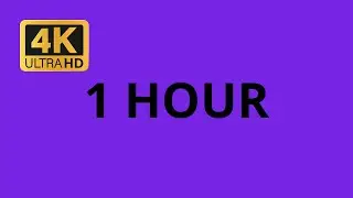 1 Hour of Purple screen   4K UHD