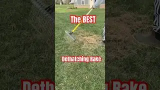 Yes, This IS the BEST Dethatching Rake! #lawn
