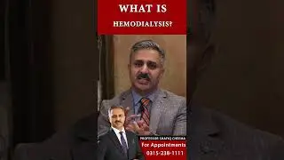 Hemodialysis #shorts #dialysis