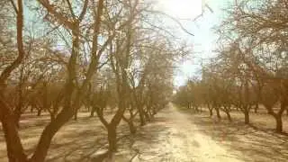 Тур &laquo;Голубой бриллиант&raquo; (сокращенный)