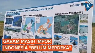 Pulau Rote Akan Disulap Jadi Sentra Industri Garam Nasional