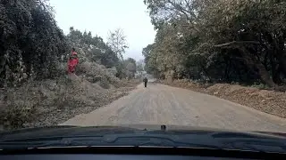 jim corbett national park tiger attack latest video tiger attack latest video night drive in jungle