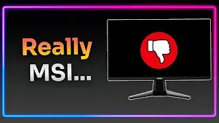 I'm Disappointed... -  MSI G255F Review