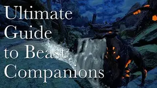 Полное руководство по зверям-компаньонам 2.0 | Warframe: Комей и Пять Судеб