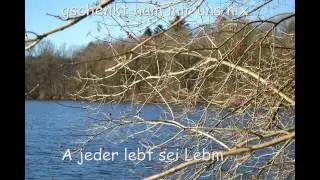 TOPSIS - Frei wia da Wind