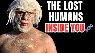 Denisovans- The Mysterious Human Species That Left Their DNA in Modern Humans