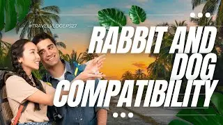 Rabbit and dog compatibility