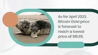 Bitcoin Gold Price Prediction 2023  BTG Crypto Forecast up to $23 64