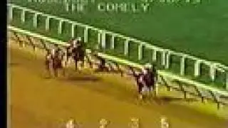 Ruffian - 1975 Comely Stakes