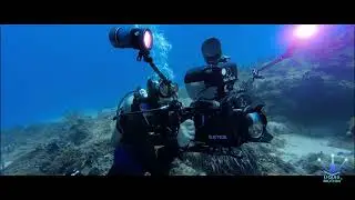 Underwater Cinematography Course Review by Professor of Cinema & Film Evan E. Hewitt @Liquid Motion