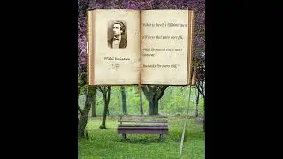 Eminescu&rsquo;s Whisper &ndash; A Poetic Scroll Beneath the Linden Tree