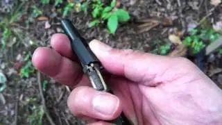 little ace 22 short