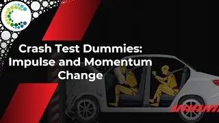 Crash Test Dummies: Impulse and Momentum Change