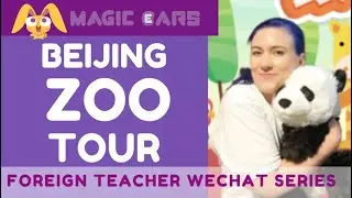 BEIJING ZOO TOUR | Foreign Teacher in China Magic Ears Wechat Series