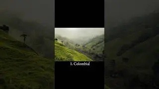 REALLY!? the rain rate in these 10 countries is highest