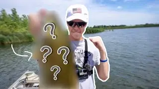 HIDDEN Marsh holds BIG Fish!! (NEW Personal BEST!!)