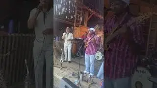 profile reggae band wilton
