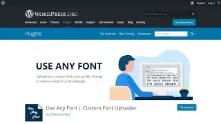 How To Use Any Font in Your WordPress Website for Free? Part 1: Install and Setup