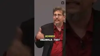 The scared by human voice study | Animals have a natural fear of the human voice.