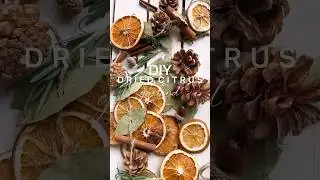 DIY DRIED CITRUS GARLAND ✨ #garland #holidaydecor #holiday #christmasdecor #diy #homedecor #home