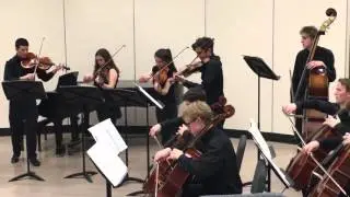 FHS chamber orchestra 2016