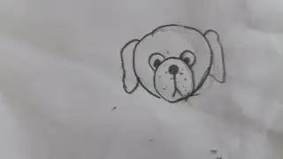 Dog easy tutorial 