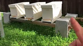 Simple Hive Stand