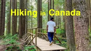 Hiking the Cedar Mills trail in Vancouver Canada | Easy trail for walk in the woods #relaxingmusic