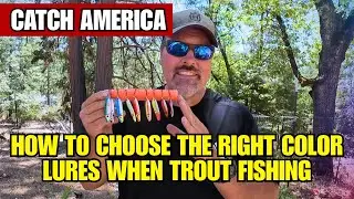 How To Choose The Right Color Lures When Trout Fishing