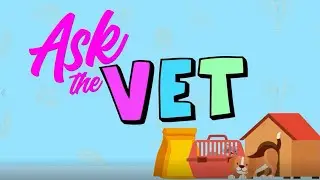 Q & A with MASH Vet