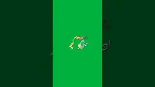 Urdu green screen WhatsApp status #hindi #grren #screen #status #shorts #vrile #video #youtubeshorts