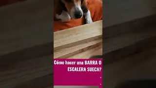 HAZ TU PROPIA BARRA O ESCALERA SUECA | Workout