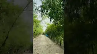 #bikeriding   #ruraladventures   #villageride   #offroadbiking   #CountrysideRide  #adventurebike