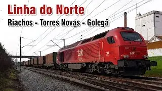 Movimento ferroviário na estação de Riachos na Linha do Norte