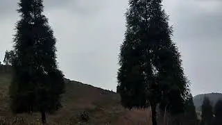 Ramche DaDa