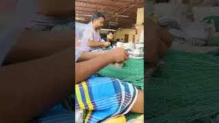 #hindi #fish #lifeisbutadream #longestdayoftheyear #vlog