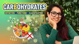 B2C1 - Carbohydrates - Definition, Functions & Classification | Nutrition 101 course