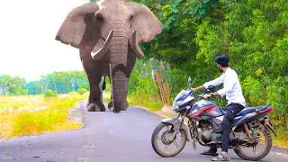 Elephant Attack On Village Boy In Orgram Forest Road