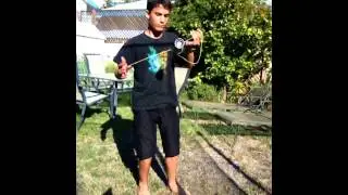 Werrd Yoyo Contest Entry #3