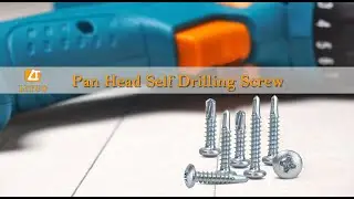 (LITUO) Pan Head Self Drilling Screw full details