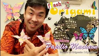 [Flash-Origami] Borboleta - Papilio Machaon 🦋 By G. Yano