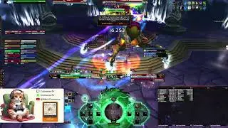 Catmemes Live Stream