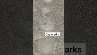 #trending #prehistoric #Cupmarks #tejveer_mavi #Kot_Village_heritage_site #shorts