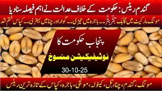 Today wheat latest price in pakistan | Bajra price in punjab | chana price in Australia vs Pakistan